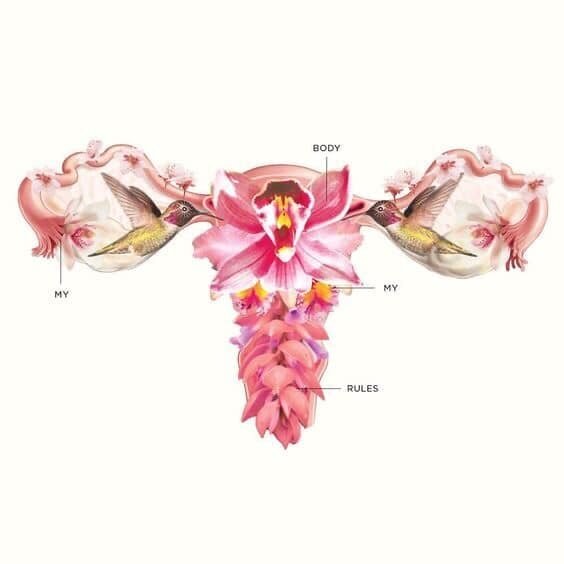Image Vulva Shape Flower Yoni Illustration Stock Illustration 2050029302 |  Shutterstock
